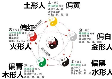 忌金的人|命里金多的人忌讳什么？五行喜忌详解！